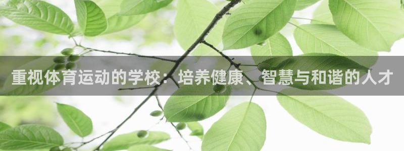 678体育app