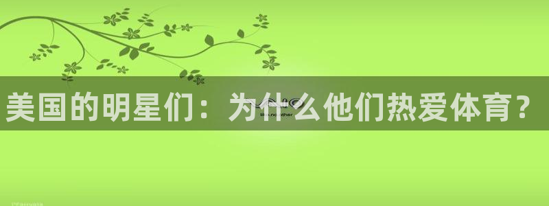 678体育app