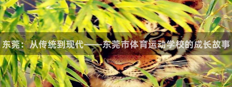 678体育知识